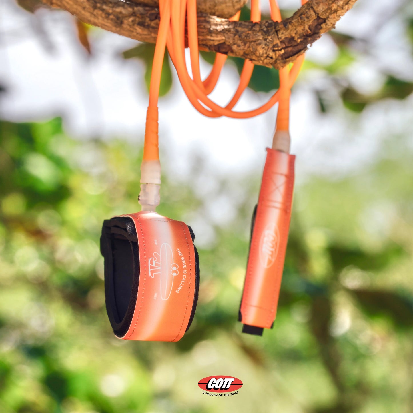 Pro Series - Sunset Gold