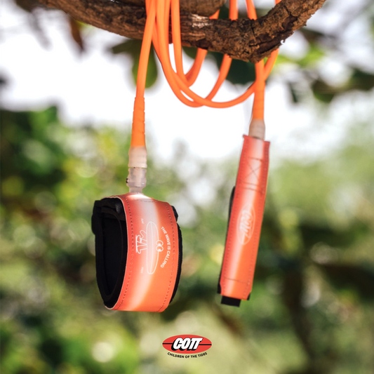 Pro Series - Sunset Gold